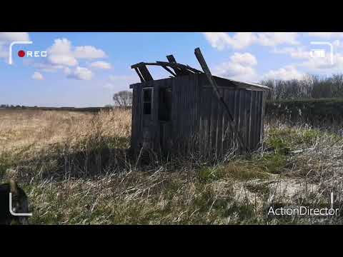 Video: Mūžības Pīlāri: Divu Stāstu Darbs, Negodīgs Bruņinieks, Bronza Zem Ezera, Apsardzes Maiņa