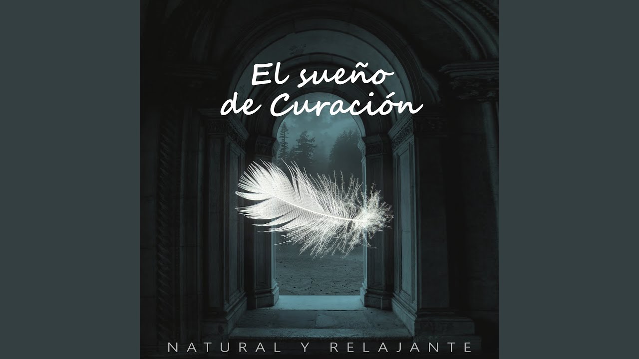 Ayuda Para Dormir Se Duerma YouTube