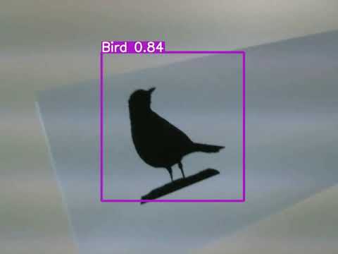 Sample b2 (YOLO)