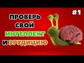 ТЕСТ НА ИНТЕЛЛЕКТ И ЭРУДИЦИЮ #1