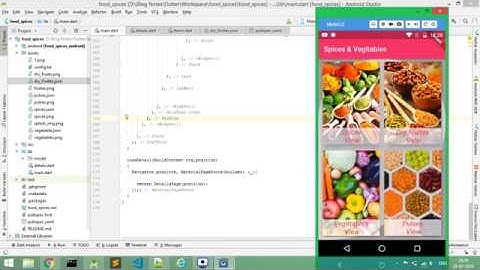 Read Local Json file Flutter - Grideview Flutter