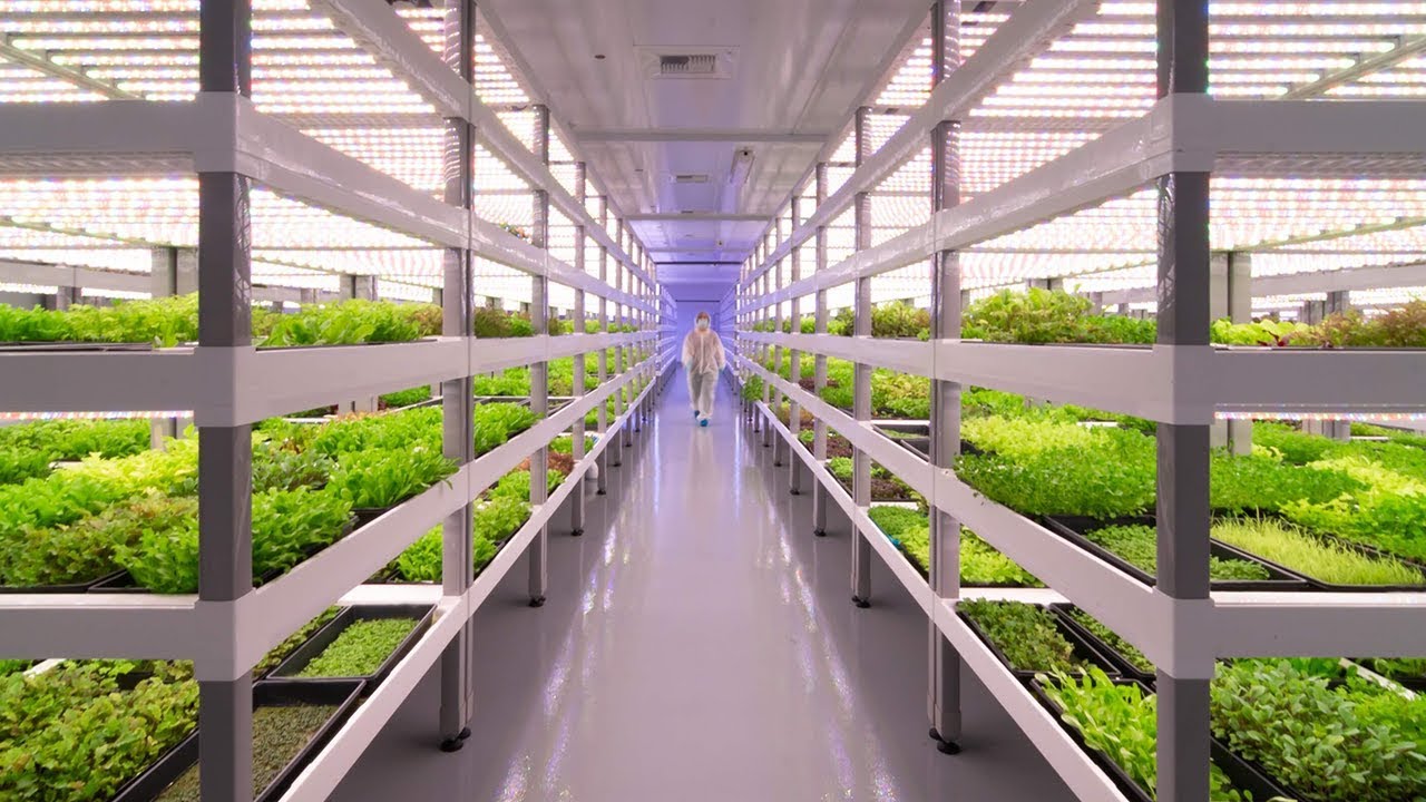 Growing Up: How Vertical Farming Works