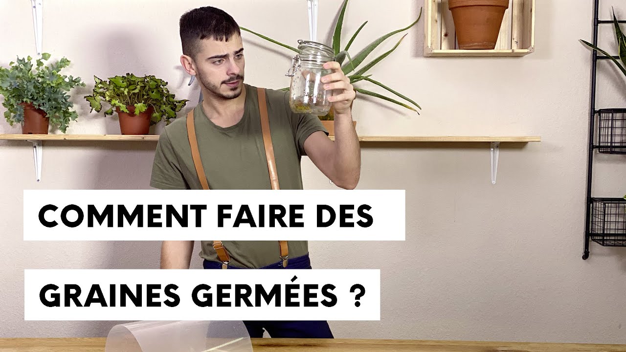 🌱🌱 Comment faire pousser ses graines germées 🌱🌱 - YouTube