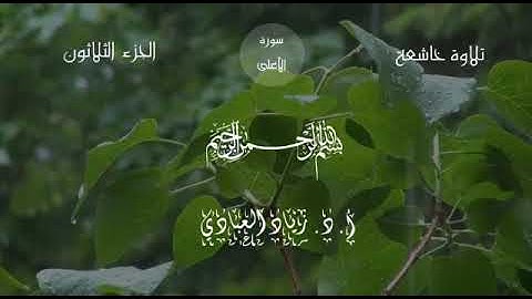 سورة الأعلى بصوتي أ. د. زياد العبادي