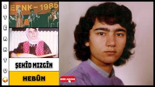 Şehît Mizgîn - Hebûn