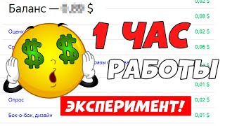Я работал на Яндекс Толоке 1 час и заработал...