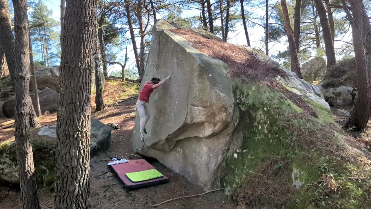 Quelques belles lignes de printemps