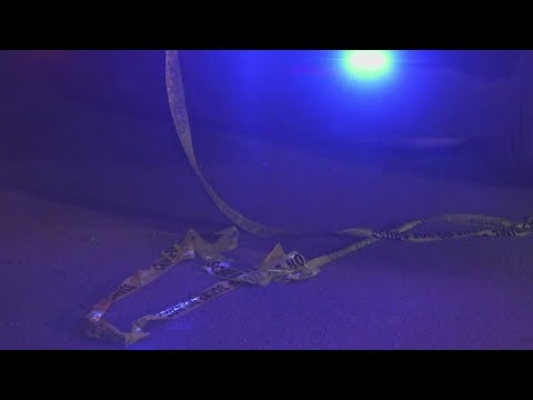 4 teens hospitalized after shooting at San Antonio Halloween party ...