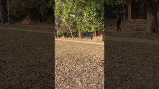 Bounding #viral #trending #shortvideo #viral #फॉलआउट4