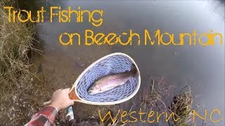 Trout Fishing on Beech Mountain, NC (Western North Carolina Mountains)