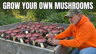 How to Grow Mushrooms at Home (Easy Wood Chip Bed Method)