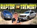 TREMOR Vs Classic V8 Raptor Do You Really Need To Spend Raptor Money To Get Raptor Performance 