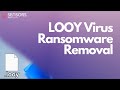 Looy virus ransomware looy files decrypt  remove it guide