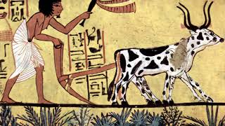 Factory farming | Wikipedia audio article