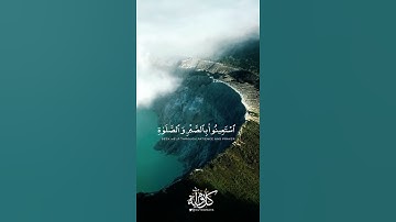 يا ايها الذين امنوا استعينوا بالصبر والصلاة ياسر الدوسري سورة البقرة