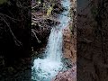 a little waterfall that sprung up cuz of the rain. #pnw #nature #waterfall #oregon #oregonnature