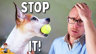 5 Mistakes I see Arthritic Dog Owners Make ALL THE TIME (Veterinarian explains)