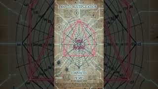 self organized system of numbers.