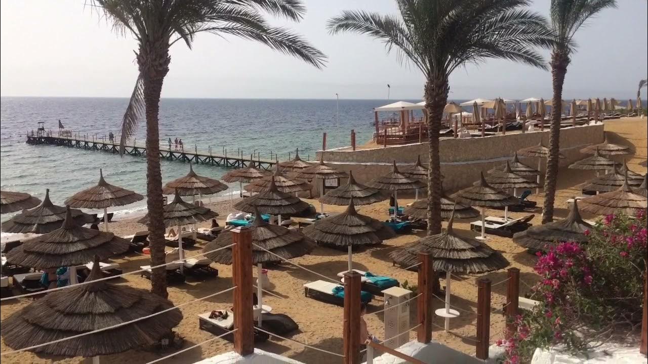 Температура воды египет шарм эль шейх апрель