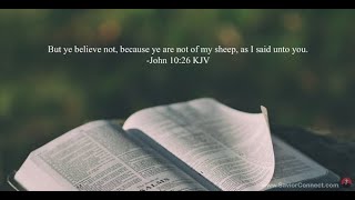 John 10:26: 'Ye are not of my sheep' - children of the devil?