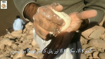 HOW TO MAKE CARP FISHING SIMPLE & EASY BAIT