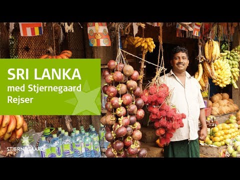 Video: Hvad Tiltrækker Turister Til Sri Lanka