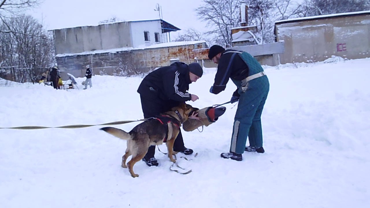 Калараш 19 веста