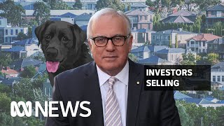 Landlords putting renters in the doghouse | Alan Kohler | ABC News
