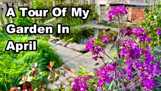 My Wildlife Front Garden Tour  April