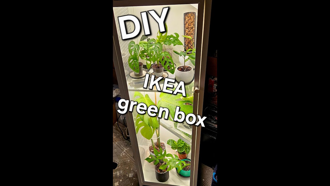 DIY IKEA BAGGEBO greenhouse for low budget.