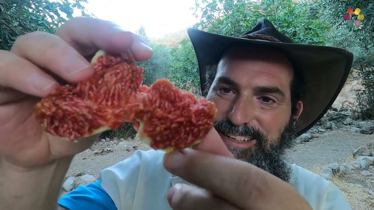 קבר חוני המעגל ופינת טבע קסומה בנחל פארעם: שרגא שמידלר מטייל