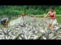 [TIMELAPSE] Harvesting Many Big fish In Mud Pond, Use 3-Wheeled Transport Fish Go To Sell
