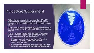 MRSA and Soft Tissue Infections (USA300) - Ali Chiha screenshot 5