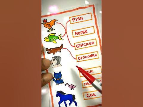 Mencocokan gambar dengan bahasa inggris #bahasainggris #art #shorts #