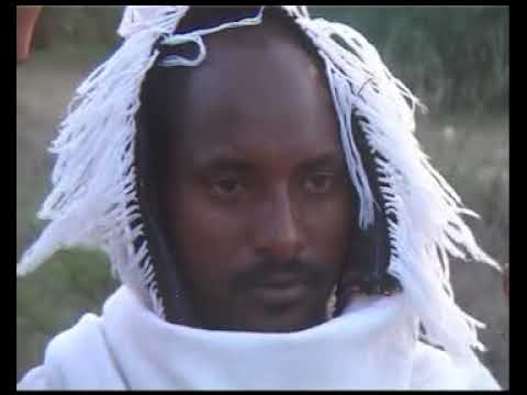 Alemayehu Hafte Abo Gereb New Tigrigna Raya Music YouTube