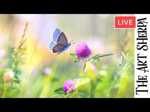 Spring butterfly and Clover flower 🌟🎨 How to paint acrylics for beginners: Paint Night at Home