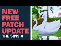 NEW HUGE Free Patch Update Overview! 😱