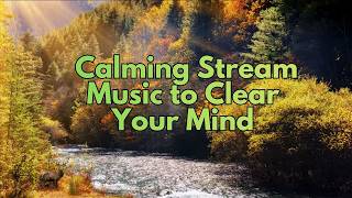 1h Mindful Meditation | Calming Stream Music to Clear Your Mind l Relax music Moc