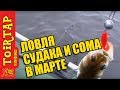 Ловля СУДАКА и СОМА  в МАРТЕ!!!  Тест новых цветов от компании "Тоиртап"