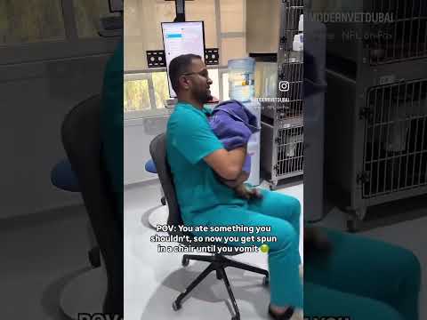 Spinning To Induce Vomiting Shorts Vet Pet Veterinarian Cat