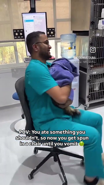 Spinning to induce vomiting 🤮 #shorts #vet #pet #veterinarian #cat
