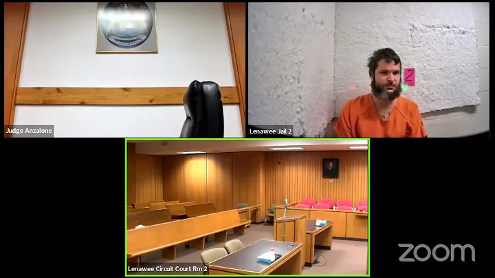 Judge Navigates Complex Plea Deal as Defendant Faces Multiple Charges in Court