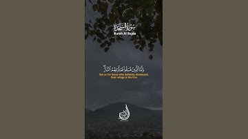 أفمن مكان مؤمنا كمن كان فاسقا لايستوون | سورة السجدة
