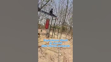 Infinite choice of things to explore at Aarohi Experience Week for children & teens #openlearning