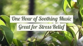 One Hour of Soothing Music Great for Stress Relief