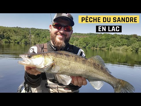 Mes pêches du sandre : Du bord, en lac de barrage