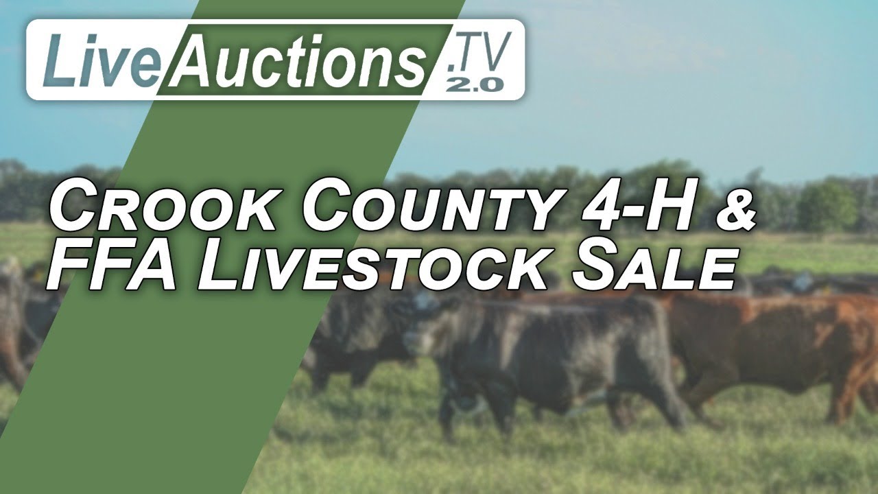 Crook County 4 H FFA Livestock Sale YouTube