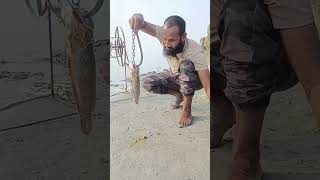 Small Bait, Huge Catfish Reaction! 💥🐟