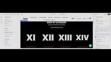 Unfixed Collections Page Sorting Option Bug from Official Shopify Theme Reformation from Fuel Themes