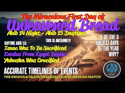 Vídeo: Com celebrar Sukkot (Festa dels Tabernacles): 15 passos